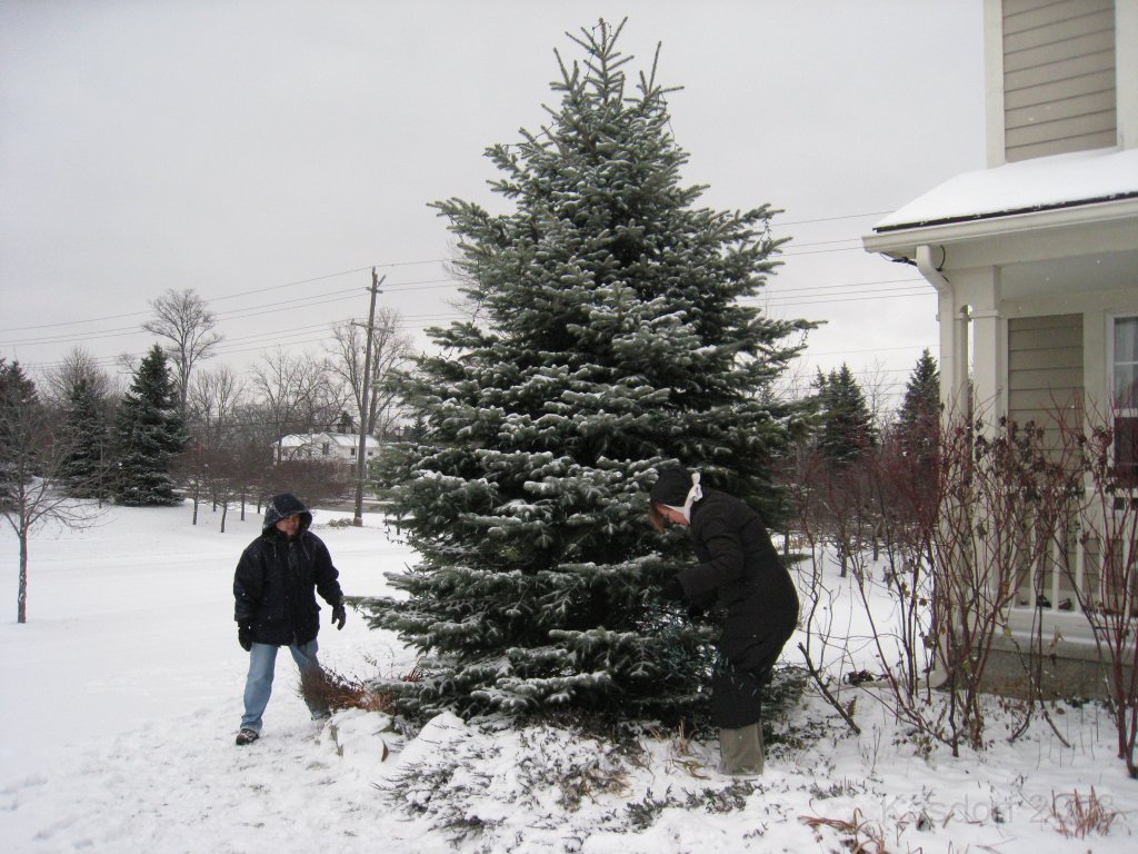 Christmas Lights Hines Drive 2008 010.jpg - The 2008 stringing of the outdoor Christmas lights MUST occur on the worst day between Thanksgiving and Christmas Eve each year. 2008 was no exception!